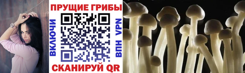 Галлюциногенные грибы ЛСД Котельнич